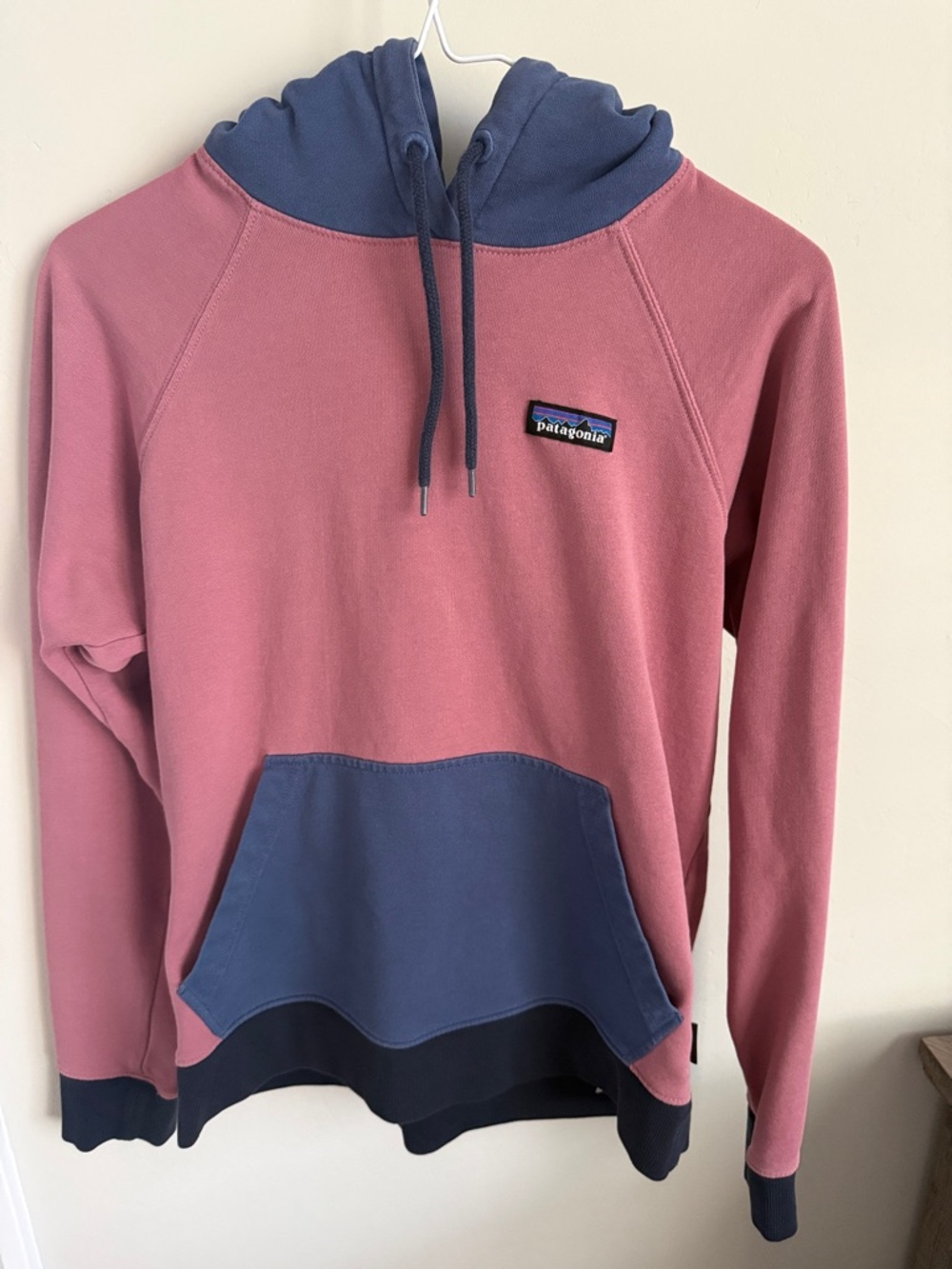 Patagonia Organic Cotton Hoodie